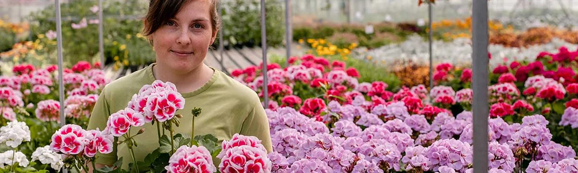 Trädgårdsdrömmar 2