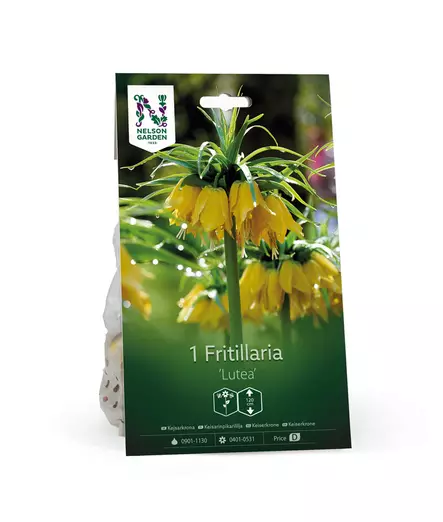 Keisarinpikarililja 'Lutea' - Kukansipulit ja -mukulat - 105050 - 1