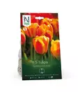 Darwintulppaani sipuli 'Apeldoorn's - Kukansipulit ja -mukulat - 105070 - 1