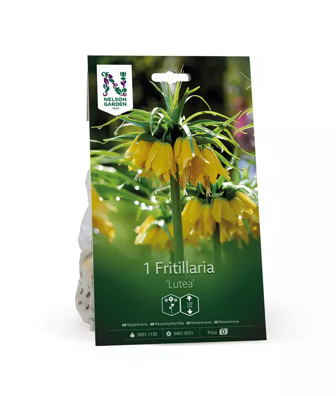 Keisarinpikarililja 'Lutea' - Kukansipulit ja -mukulat - 105050 - 1