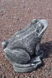 Betonipatsas, Sammakko pieni 16 cm (3kg) - Sisustus - 103991 - 2