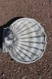 Betonipatsas, Lintuallas - Sisustus - 103972 - 2