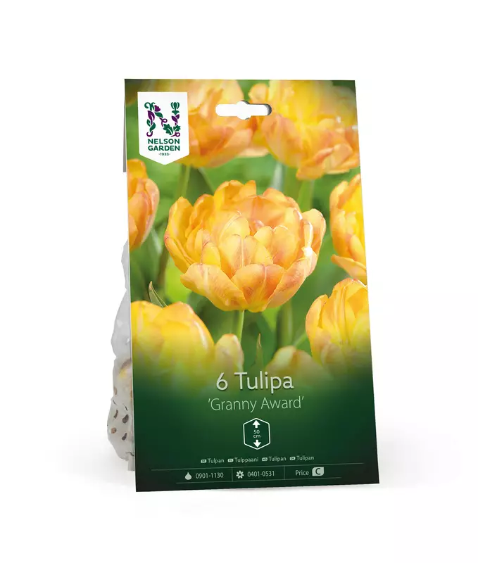 Tulppaani sipuli, 'Granny Award' - Kukansipulit ja -mukulat - 105062 - 1