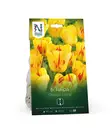 Darwintulppaani sipuli 'Olympic Flame' - Kukansipulit ja -mukulat - 105063 - 1