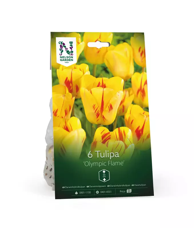 Darwintulppaani sipuli 'Olympic Flame' - Kukansipulit ja -mukulat - 105063 - 1