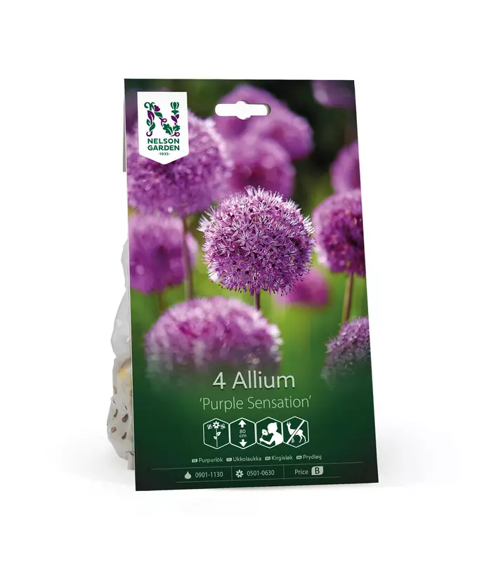 Ukkolaukka 'Purple Sensation' - Kukansipulit ja -mukulat - 104053 - 1