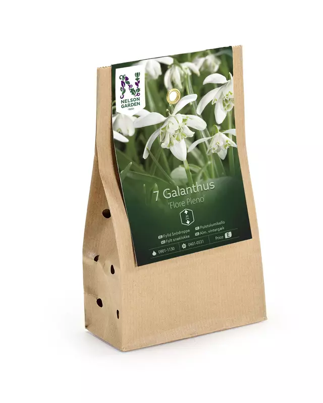 Lumikello 'Flore Pleno', kukkasipuli - Kukansipulit ja -mukulat - 105044 - 1