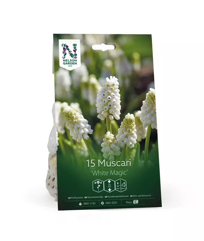 Muscari 'White Magic' sipulipussi - Kukansipulit ja -mukulat - 105054 - 1