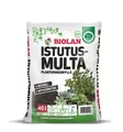 Istutusmulta 40 L - Multa - 101745 - 1