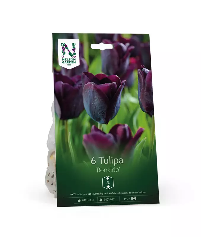 Tulppaani sipuli, 'Ronaldo' - Kukansipulit ja -mukulat - 105065 - 1