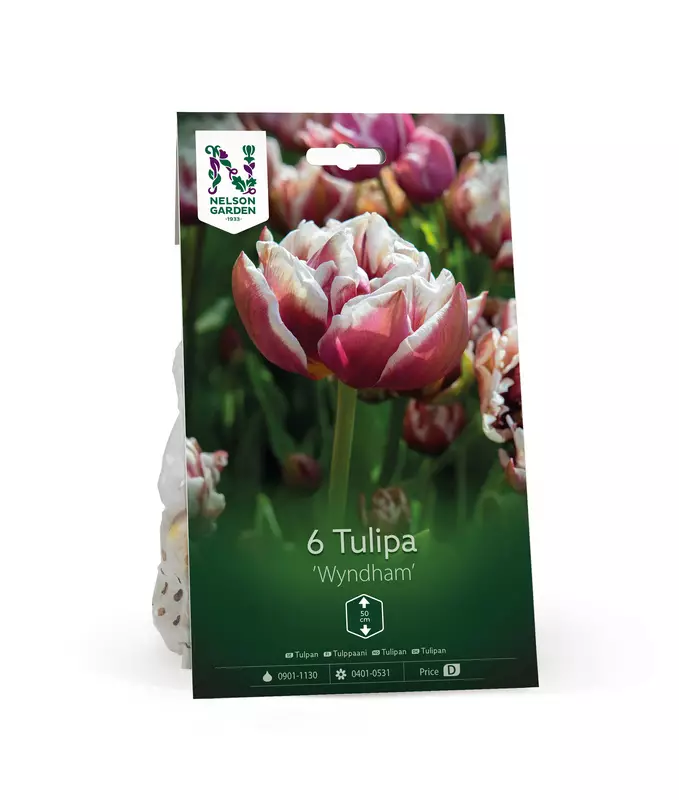 Tulppaanisipuli 'Wyndham' - Kukansipulit ja -mukulat - 105055 - 1
