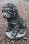 Betonipatsas, Koira, pieni 17 cm (1 kg) - Sisustus - 103996 - 3