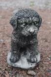 Betonipatsas, Koira, pieni 17 cm (1 kg) - Sisustus - 103996 - 1
