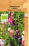 Lathyrus odoratus 'Mammoth' sekoite - Kukkien siemenet - 101846 - 1