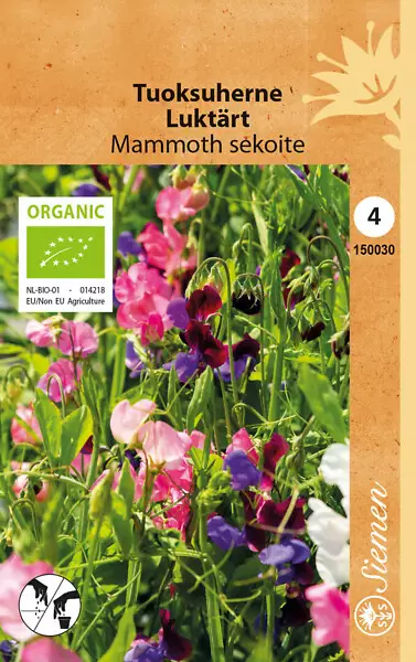 Lathyrus odoratus 'Mammoth' sekoite - Kukkien siemenet - 101846 - 1