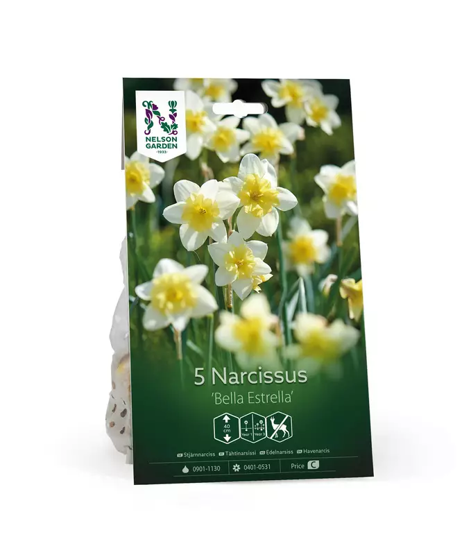 Narsissi sipulipussi 'Bella Estrella' - Kukansipulit ja -mukulat - 105046 - 1