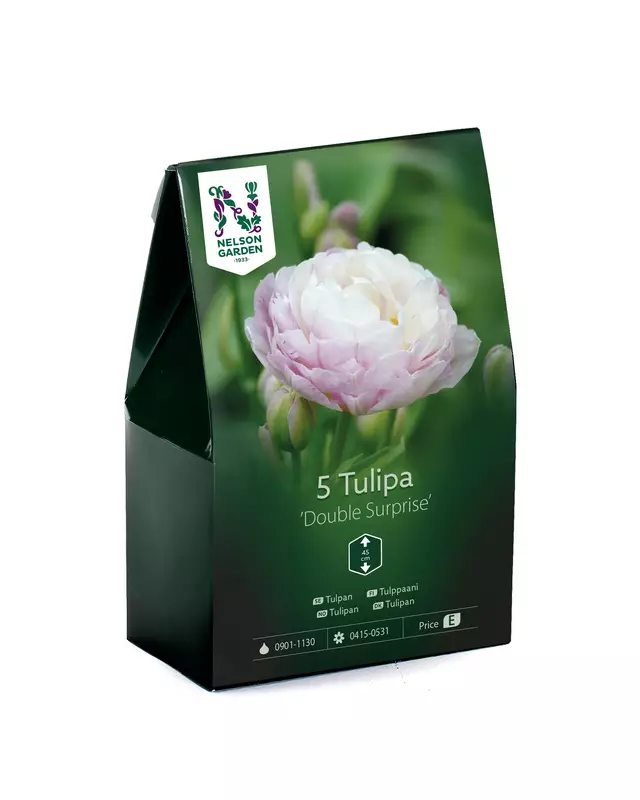 Tulppaani sipuli, 'Double Surprise' - Kukansipulit ja -mukulat - 105067 - 1