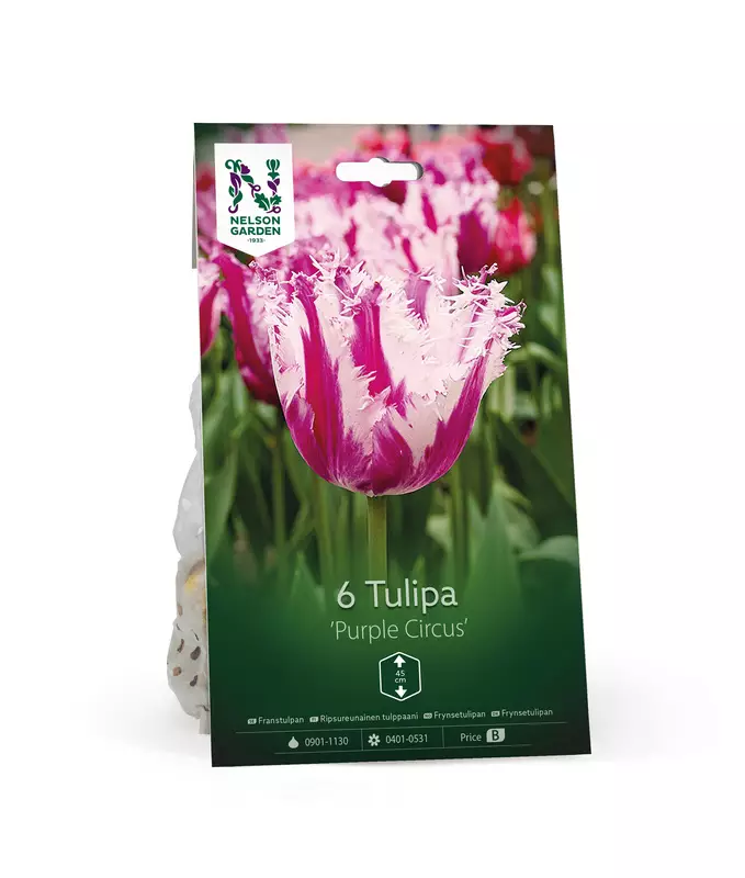 Tulppaani sipuli 'Purple Circus' - Kukansipulit ja -mukulat - 105057 - 1