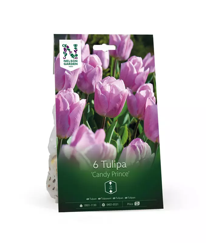 Tulppaani sipuli 'Candy Prince' - Kukansipulit ja -mukulat - 105058 - 1