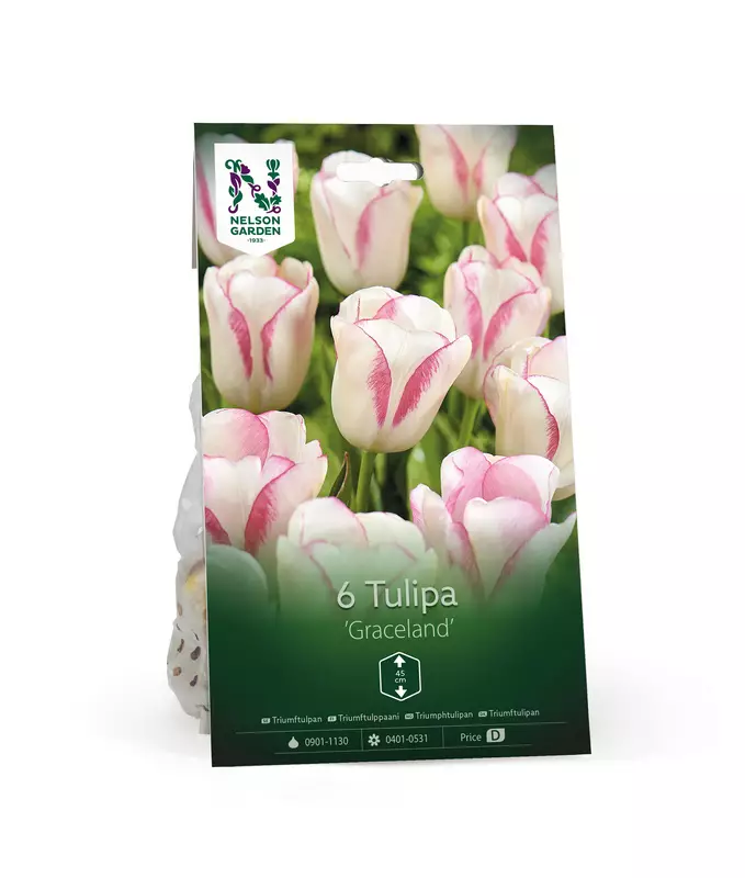 Tulppaani sipuli 'Graceland' - Kukansipulit ja -mukulat - 105068 - 1