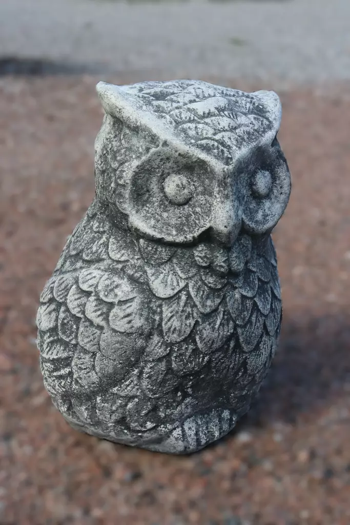 Betonipatsas, Pöllö - Sisustus - 103969 - 1