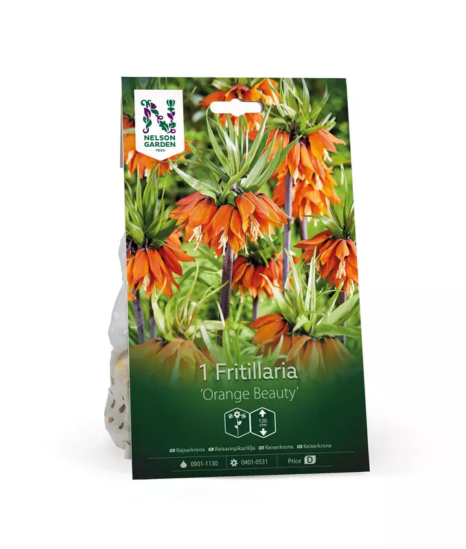 Keisarinpikarililja 'Orange Beauty' - Kukansipulit ja -mukulat - 105049 - 1